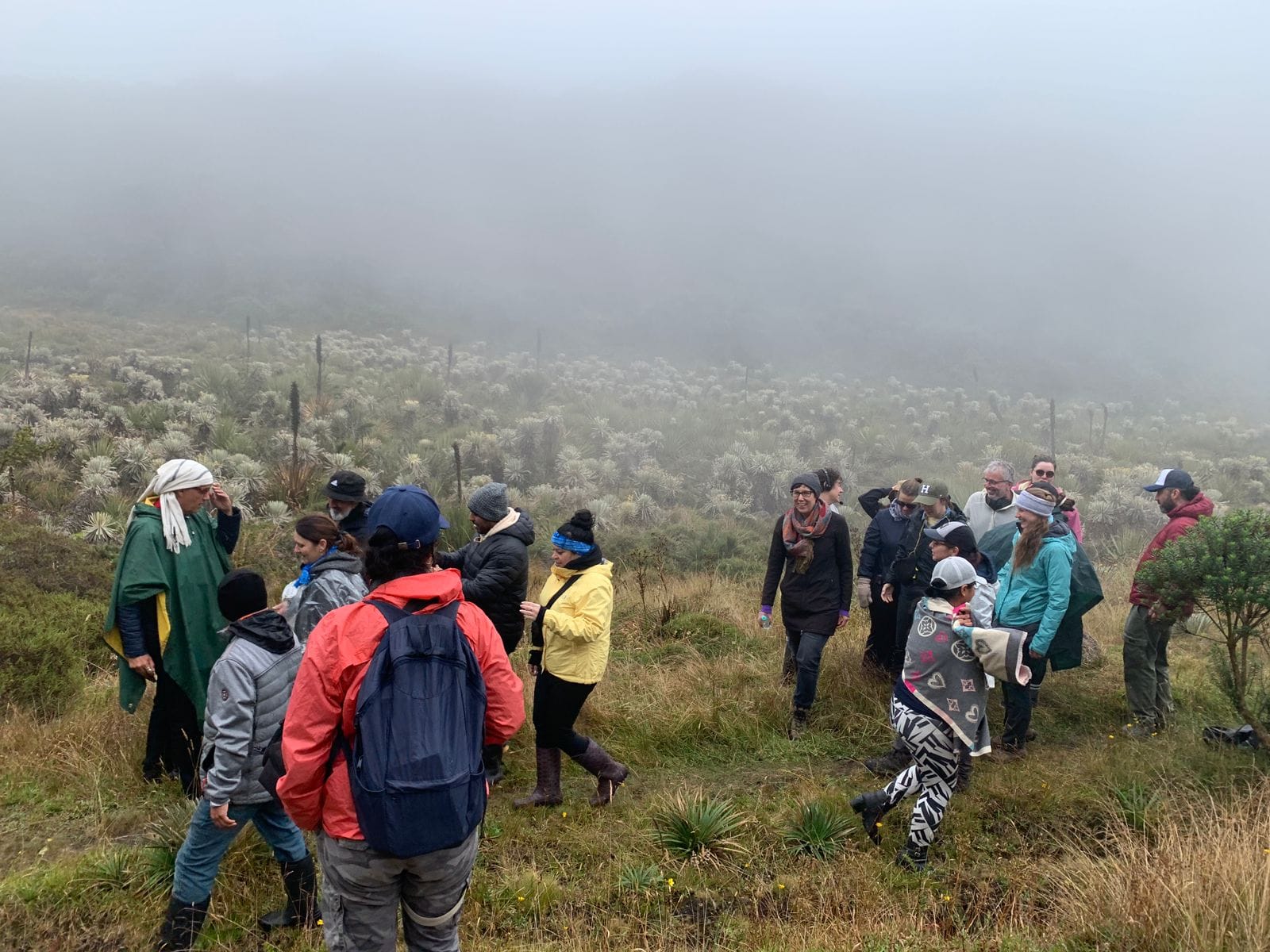 Turismo Sostenible y Regenerativo