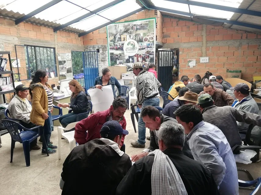 imagen galería 6