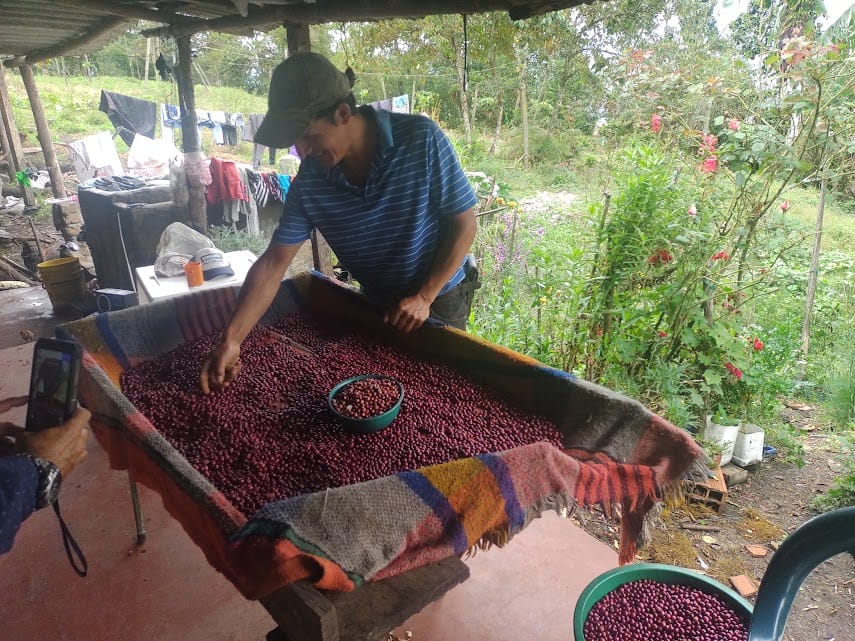 Seguridad y Soberanía Alimentaria
